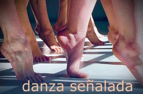 "La danza señalada", propuestas coreográficas en Sala Agustín Siré