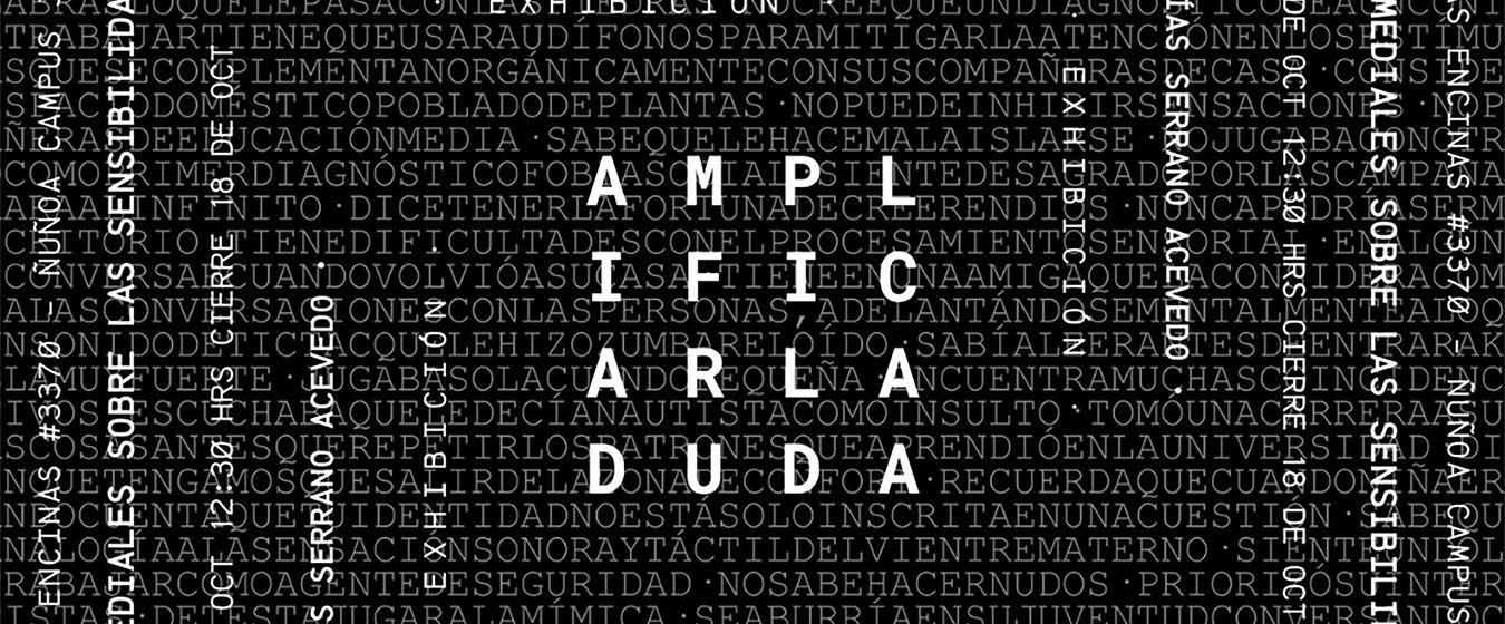 Exposición "amplificar la duda: exploraciones mediales sobre las sensibilidades extrañas" de Matías Serrano Acevedo en Sala Juan Egenau