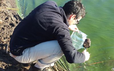 Conductividad eléctrica. Estudiante tomando muestra en área de macrófitas del humedal.