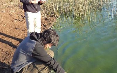 Estudiantes tomando muestra de temperatura y sólidos sedimentados.  