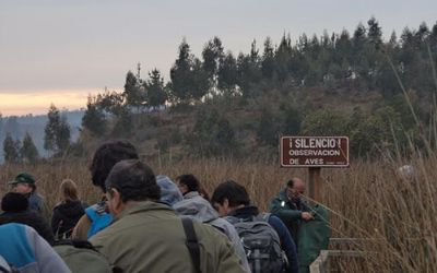 Pasarela sobre Humedal de Laguna Torca.