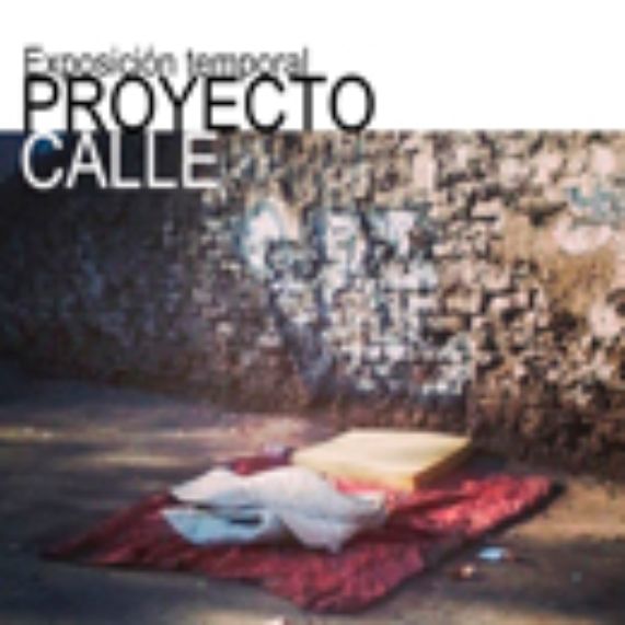 Proyecto Calle