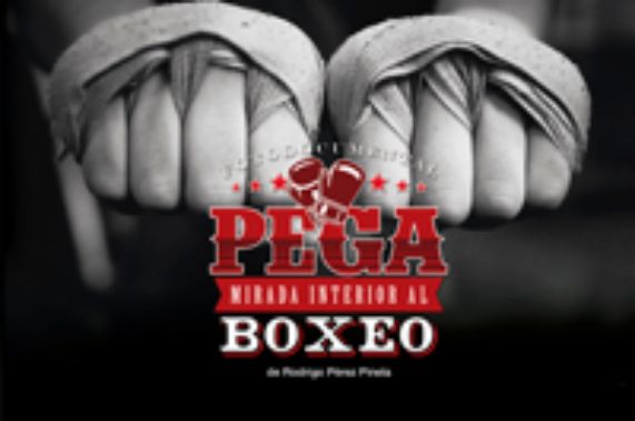 Fotodocumental revela intimidad del boxeo en el sur del país