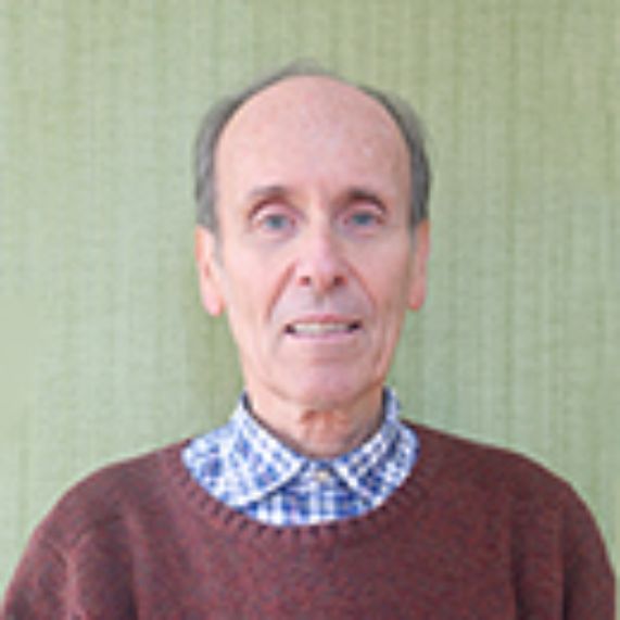 Prof. Luis Merino: