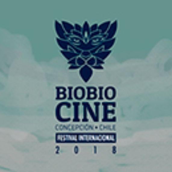 Hasta el 21 de abril se desarrollará el Festival Internacional BioBio Cine