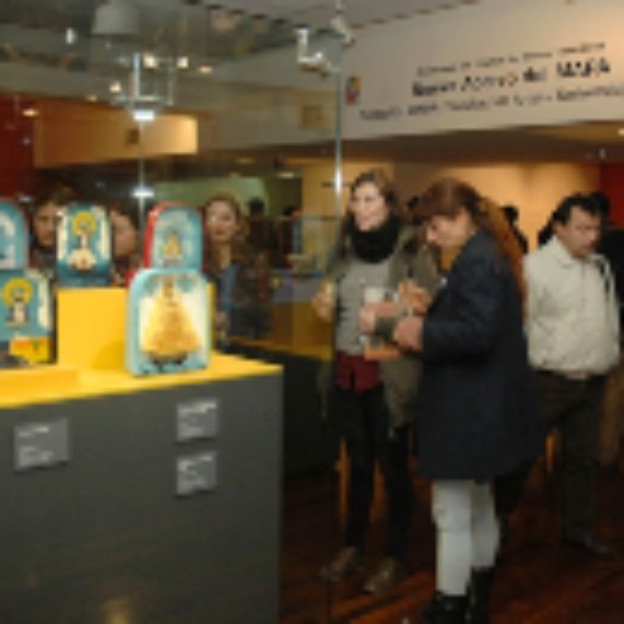 Tres museos de la U. de Chile se adjudicaron Fondos de Mejoramiento Integral 2020