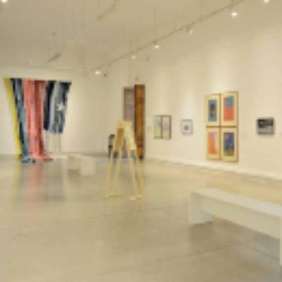 En su aniversario nº 73 el Museo de Arte Contemporáneo inaugura exhibición virtual con obras de su acervo