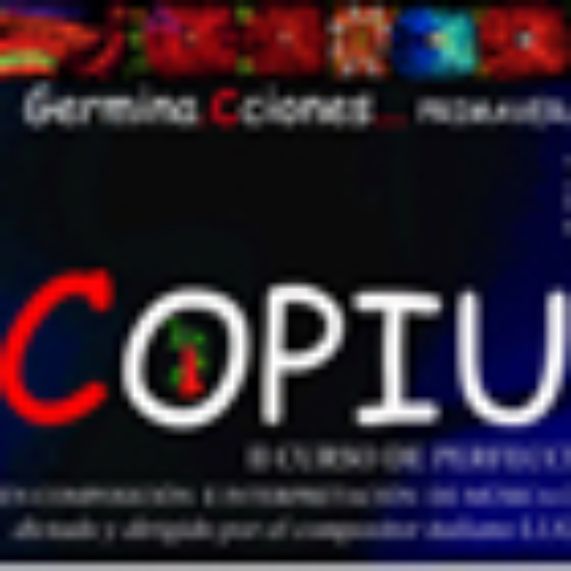 Continúan las actividades de COPIU 2009