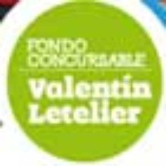 Fondo Valentín Letelier premió cinco proyectos interdisciplinarios