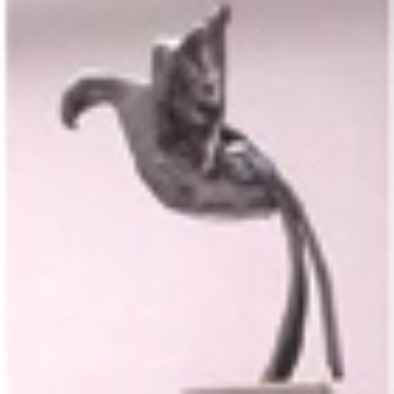 Académicos obtienen Premio Altazor 2011