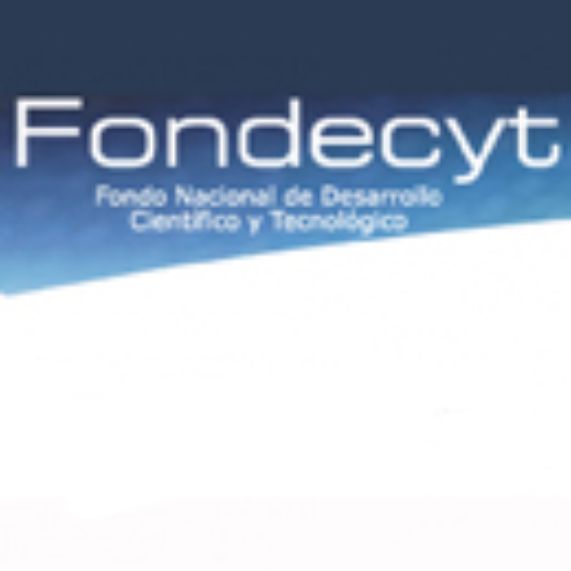 Investigadores de la Facultad de Artes obtienen dos proyectos FONDECYT