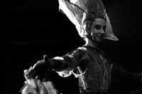Departamento de Danza rendirá homenaje a prof. Bárbara Uribe