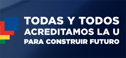 Proceso de Acreditación Institucional 2025