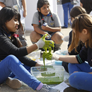 Facultad de Artes participa en Semana de la Educación Artística 2016