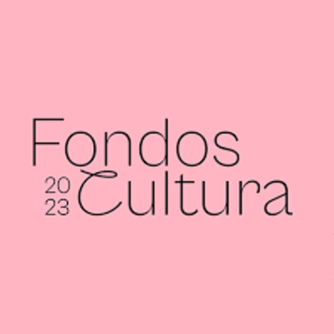 Comunidad DMUS se adjudica fondos de cultura 2023